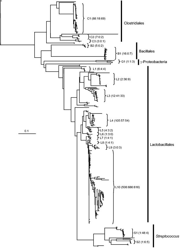 FIG.2.