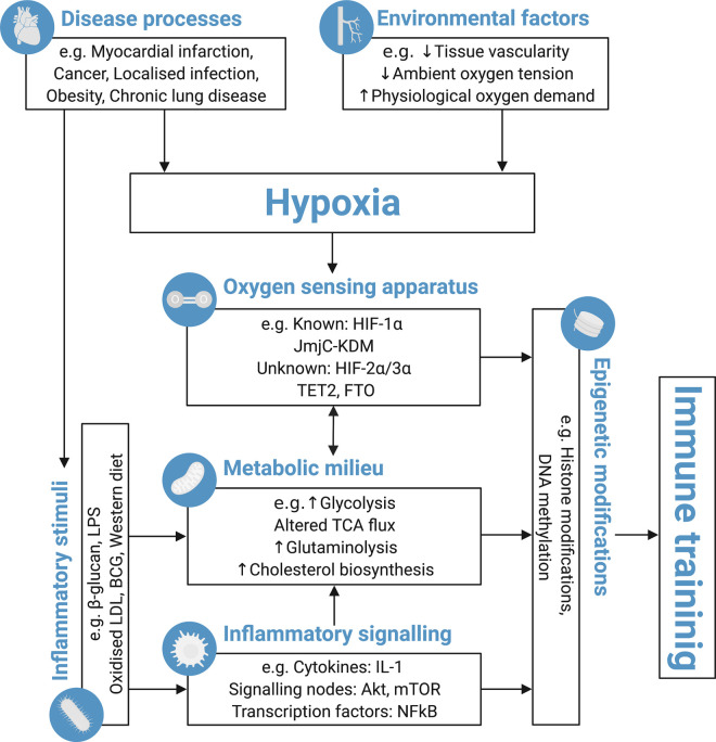 Figure 1.