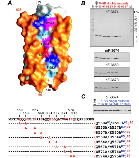 FIG. 2.