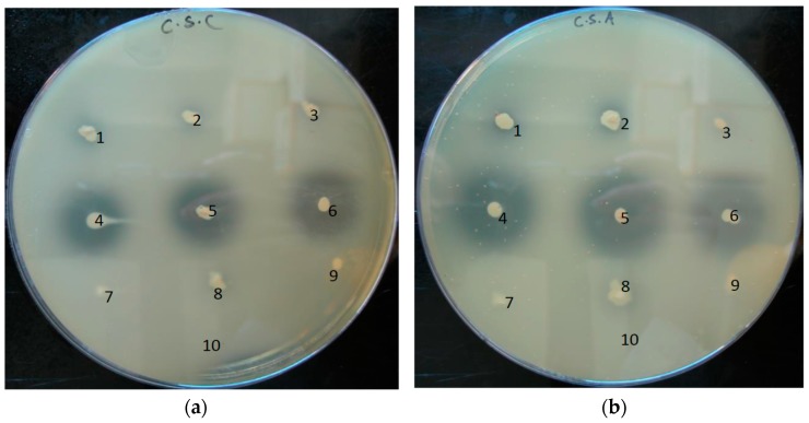 Figure 6