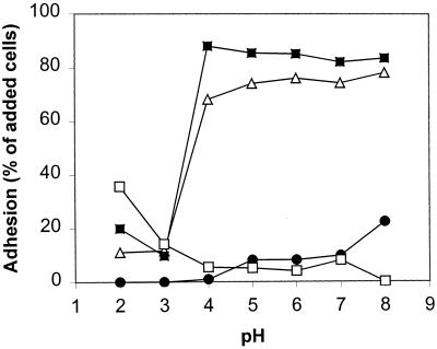 FIG. 5