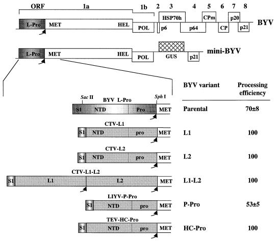 FIG. 1