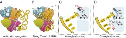 Fig. 5.