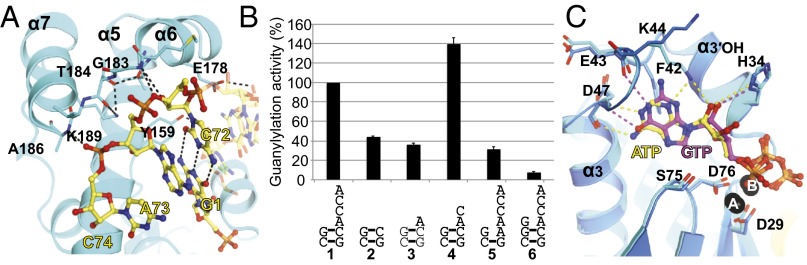 Fig. 4.