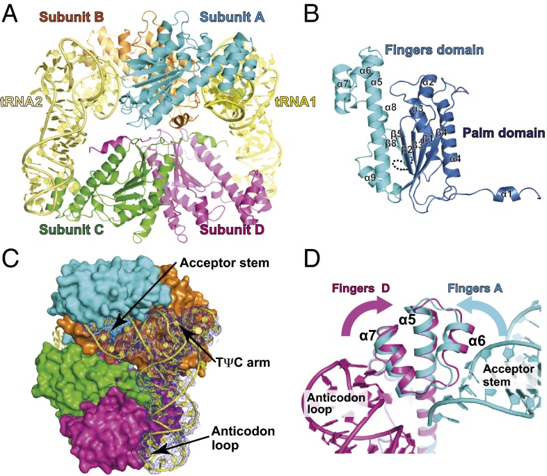 Fig. 2.