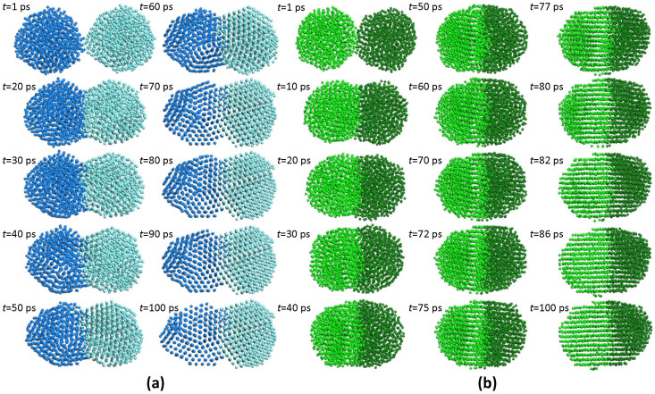 Figure 10