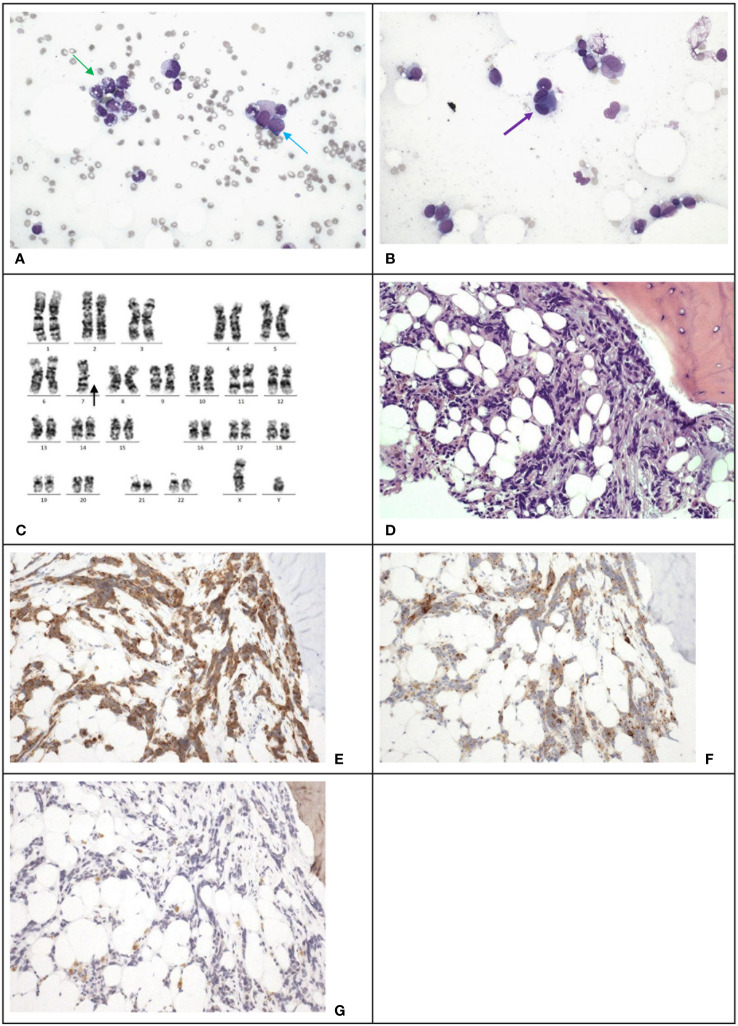 Figure 3