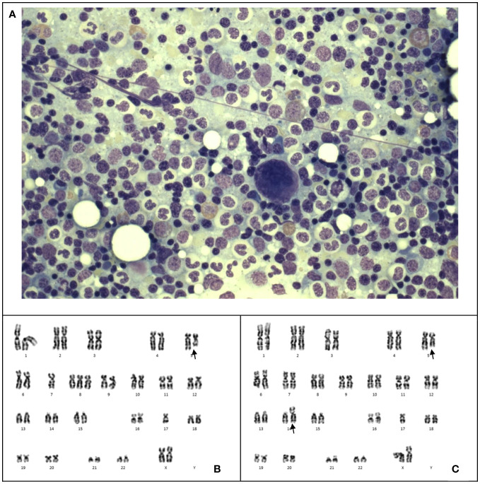 Figure 2