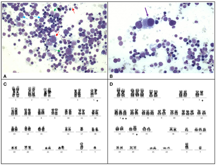 Figure 1