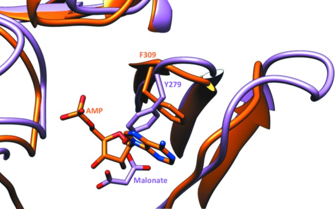 Figure 5