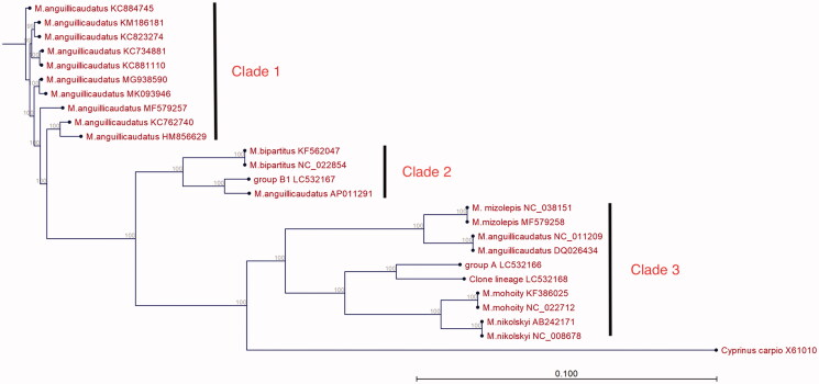 Figure 1.