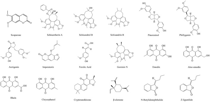 FIGURE 9