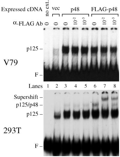 FIG. 6