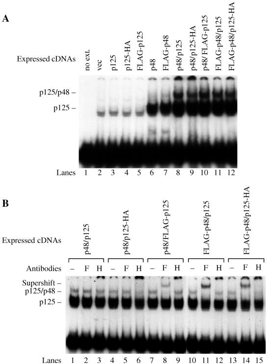 FIG. 7