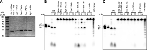 FIG. 6.