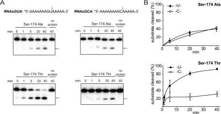 FIG. 7.