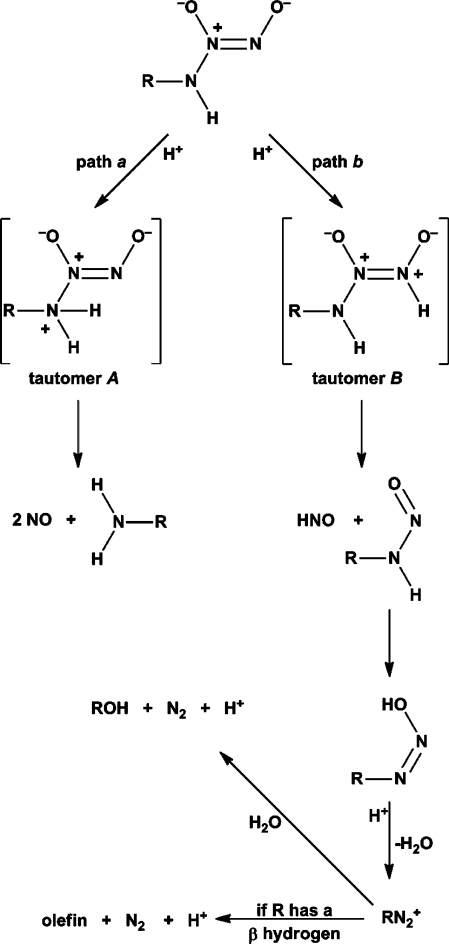 Scheme 2