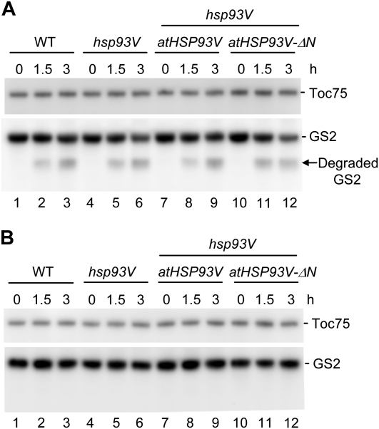 Figure 5.