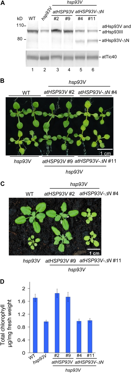 Figure 3.