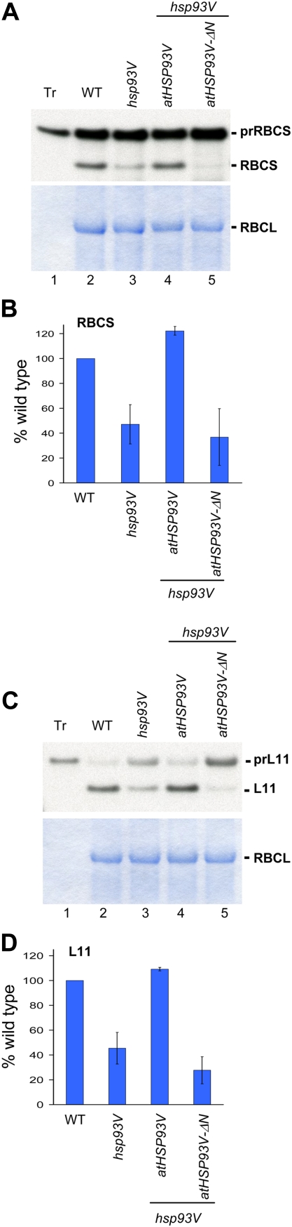 Figure 4.