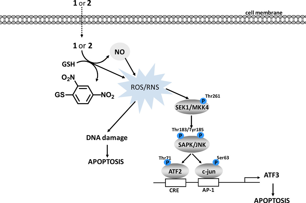 Scheme 3