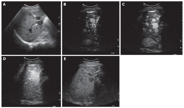 Figure 5