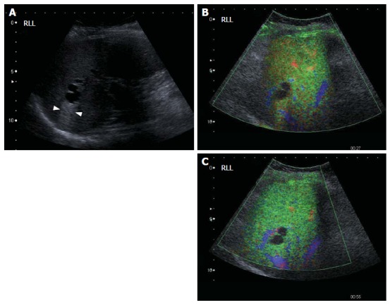 Figure 7