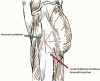 Fig 7