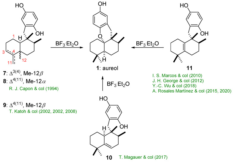 Scheme 3