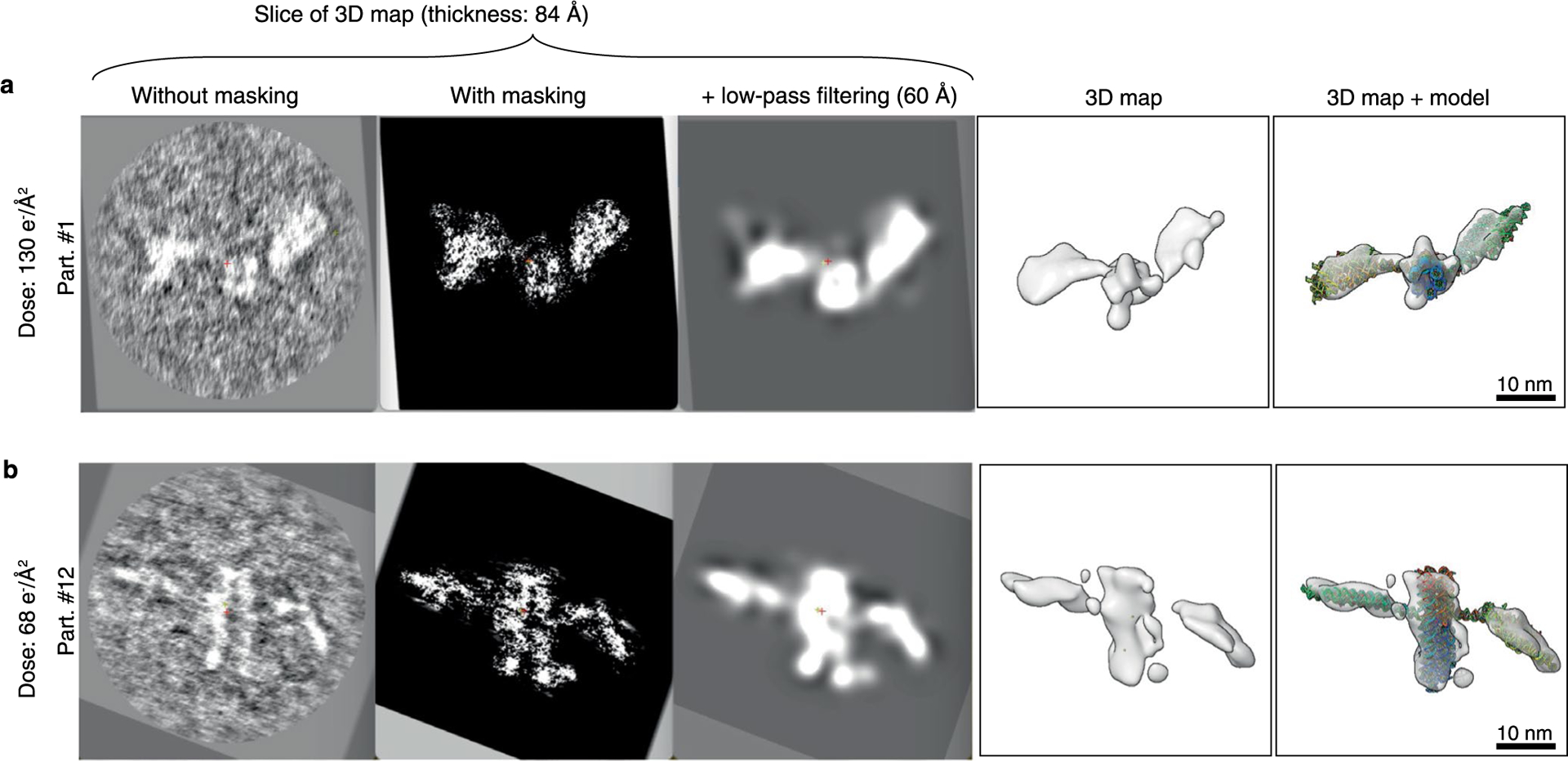 Extended Data Fig. 9 |