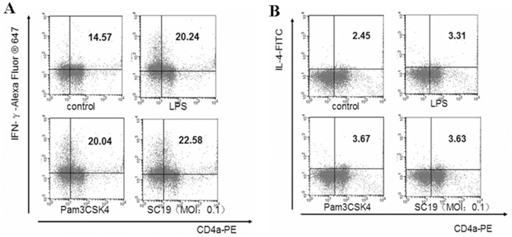 Fig 8