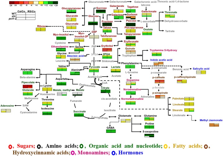 Fig 1