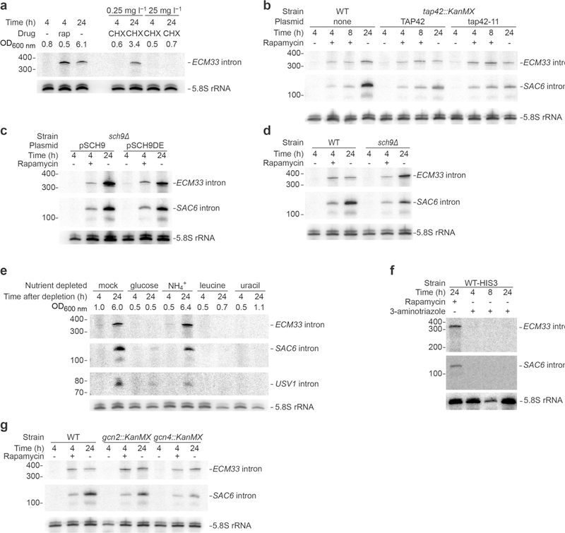 Extended Data Fig. 6 |