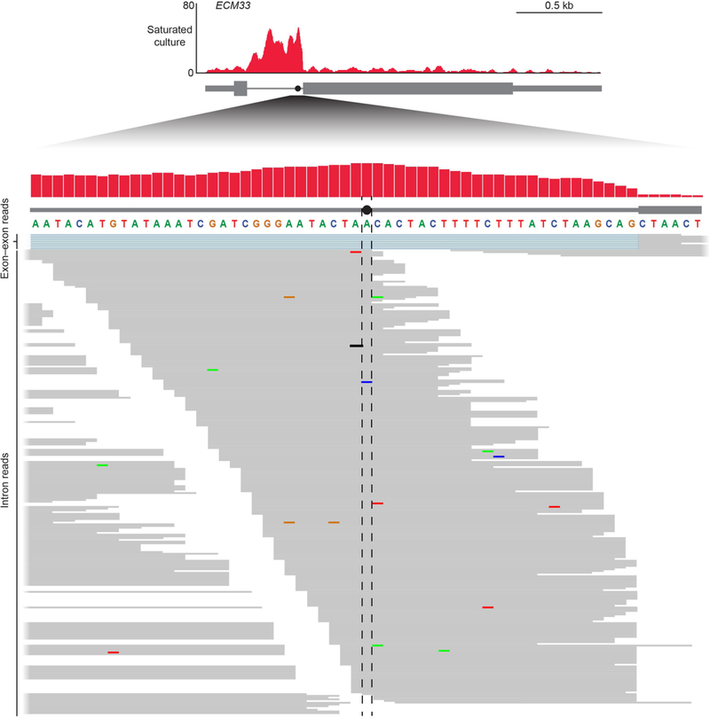 Extended Data Fig. 1 |