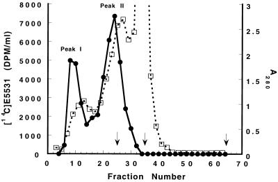 FIG. 1