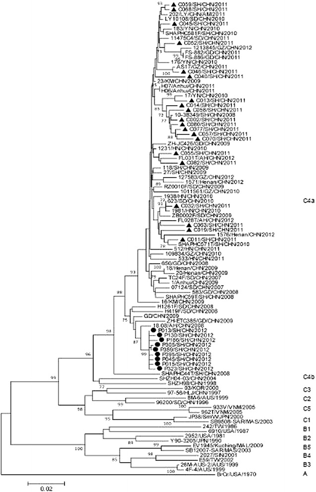 Fig. 2