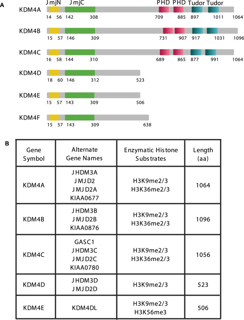 Figure 1.