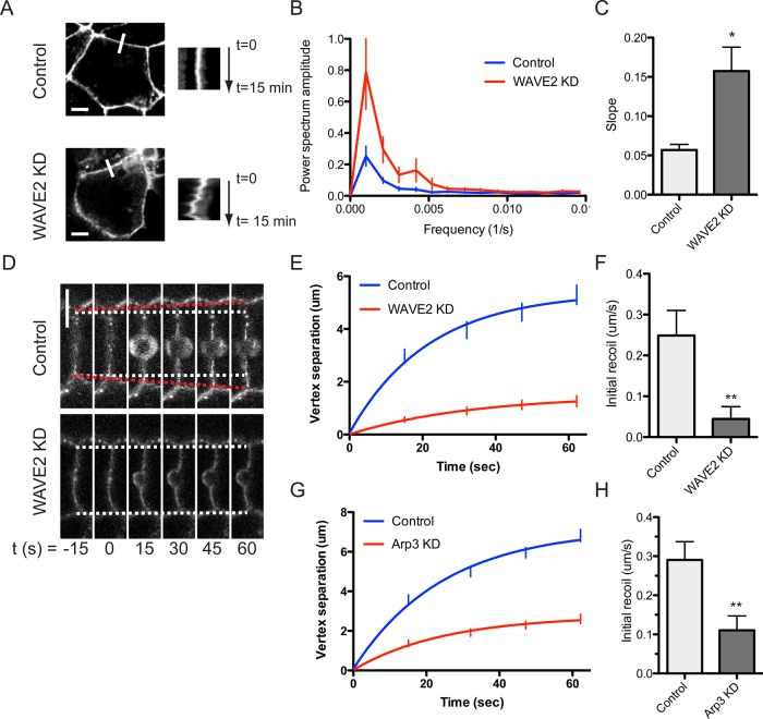 FIGURE 6: