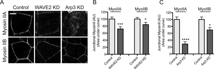 FIGURE 7: