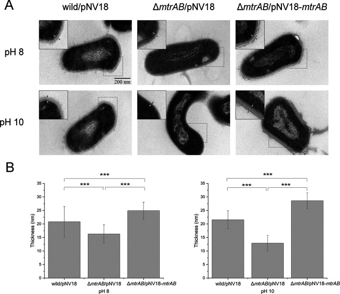 FIG 3