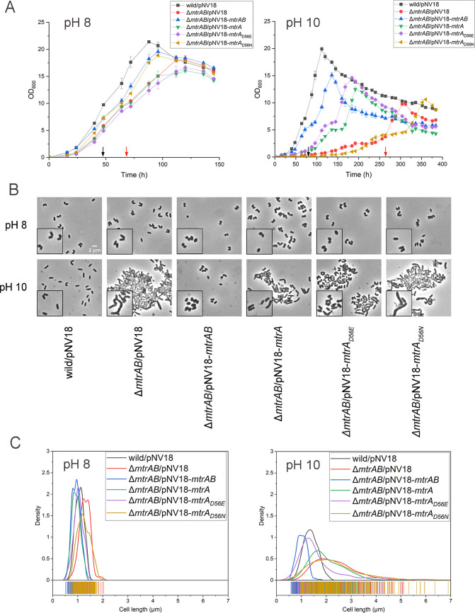 FIG 1