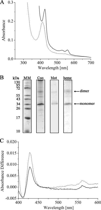 FIG. 5.