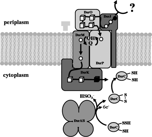 FIG. 8.