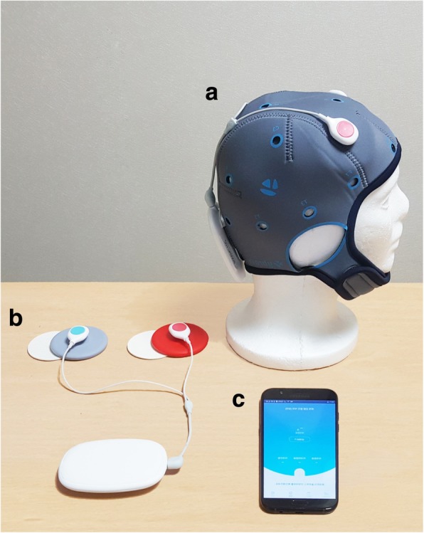 Fig. 1