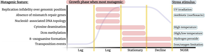 Fig. 2.