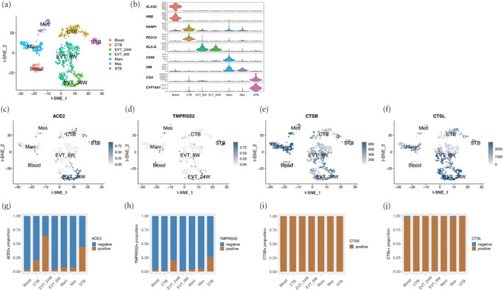 UOG-22186-FIG-0002-c