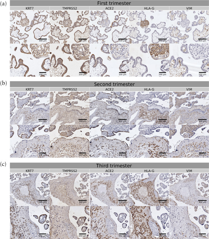 UOG-22186-FIG-0003-c