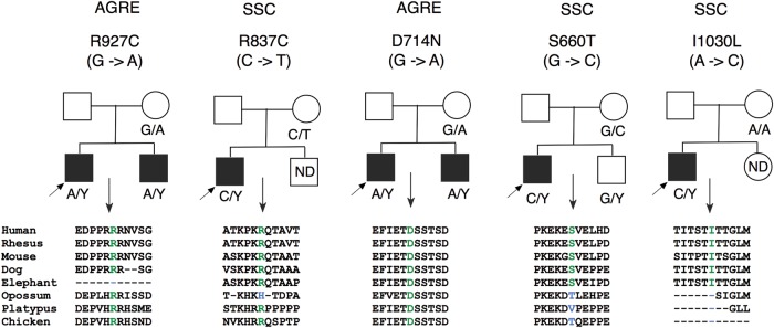 Figure 2.