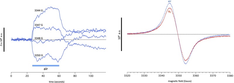 Fig. 8.