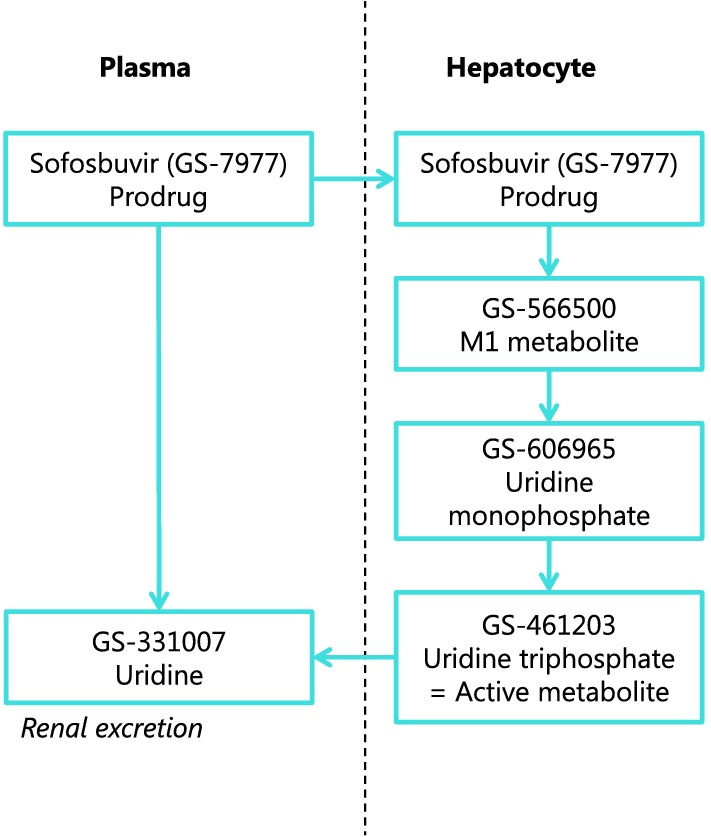 Fig. 1